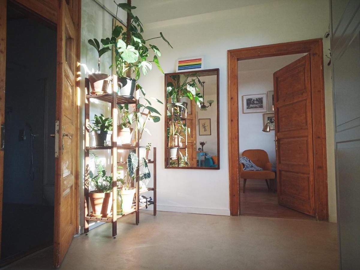 Good Mornings Apartment 克卢日-纳波卡 外观 照片